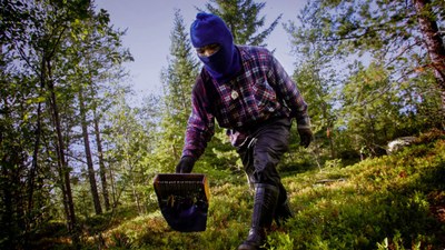 Arbetskraft en bristvara i det nordiska jord- och skogsbruket