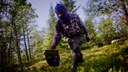 Arbetskraft en bristvara i det nordiska jord- och skogsbruket